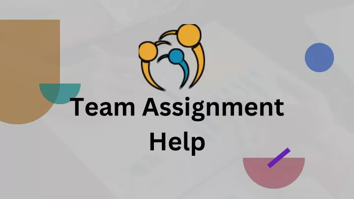 team assignment help