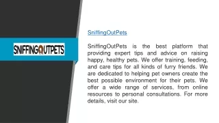 Get Tips And Advice For Your Pets
