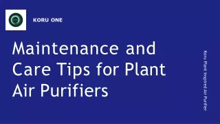 Maintenance and Care Tips for Plant Air Purifiers