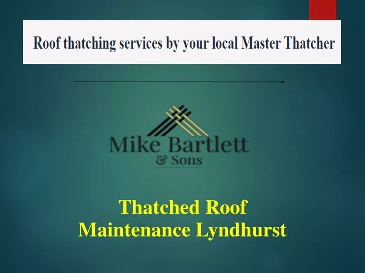 thatched roof maintenance lyndhurst