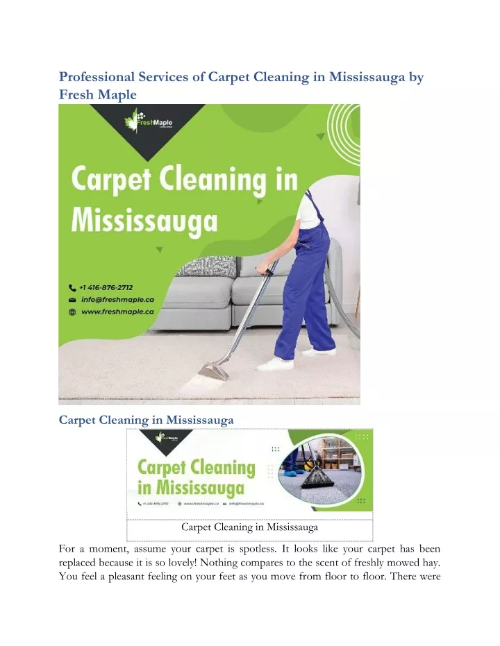 professional services of carpet cleaning