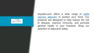 Cattle Vaccine Adjuvant  Ictyodev.com
