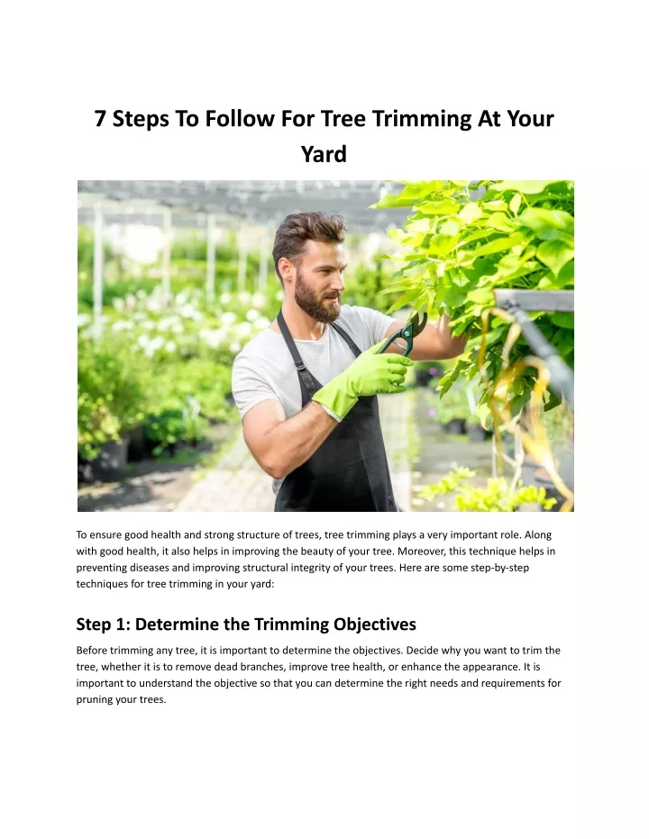 7 steps to follow for tree trimming at your yard