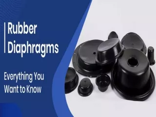 Every thing you need to know about Rubber Diaphragm