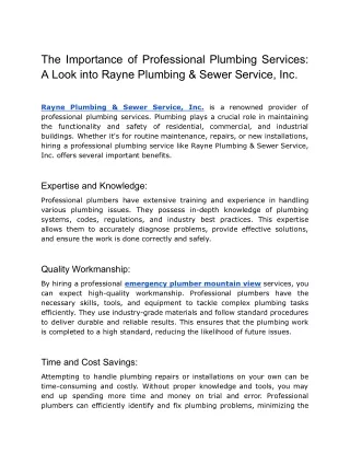 The Importance of Professional Plumbing Services_ A Look into Rayne Plumbing & Sewer Service, Inc.