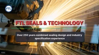 Oil & Gas Sealing Solutions