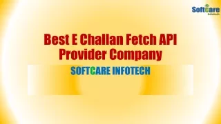 best e challan fetch api provider company