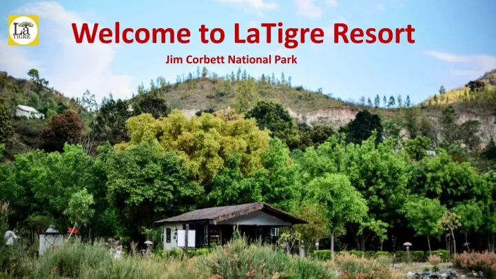 welcome to latigre resort