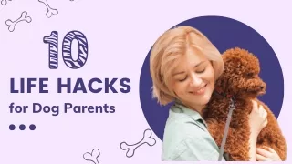 Top 10 Life Hacks for Dog Parent - CanadaPetCare