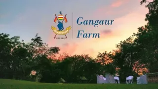 Gangaur Farm Overview