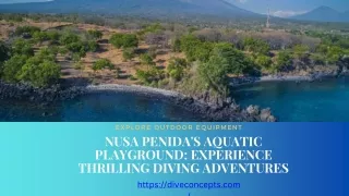 Nusa Penida's Aquatic Playground Experience Thrilling Diving Adventures
