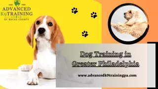 Dog Training in Greater Philadelphia: The Best Place to Socialize your Dog