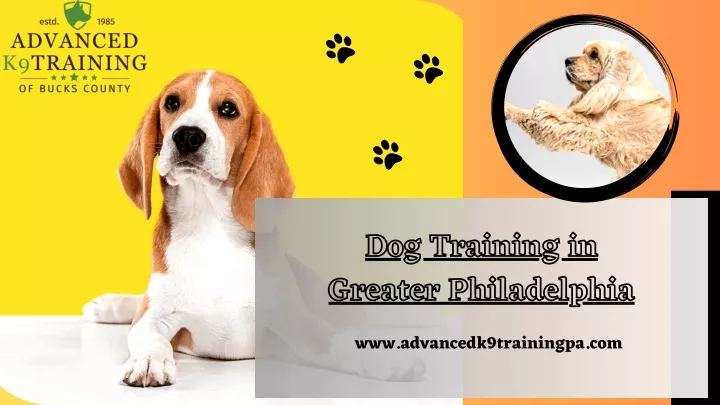 dog training in greater philadelphia