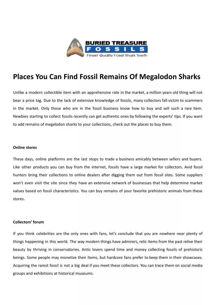 places you can find fossil remains of megalodon