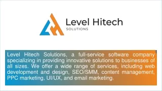 Organic SEO Company - Level Hitech Solutions