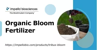 Looking For Organic Bloom Fertilizer – Visit Impello Biosciences