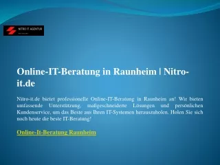 Online-IT-Beratung in Raunheim  Nitro-it.de
