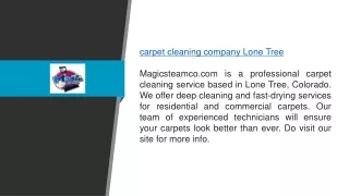 Carpet Cleaning Company Lone Tree Magicsteamco.com