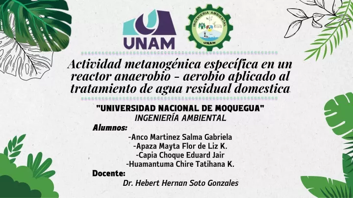 actividad metanog nica espec fica en un reactor