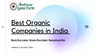 Best Organic Food Companies in India - Ambrosia Organic Farm