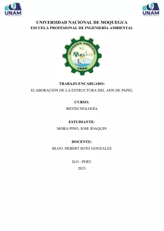 Informe - Elaboracion de la estructura ADN en papel