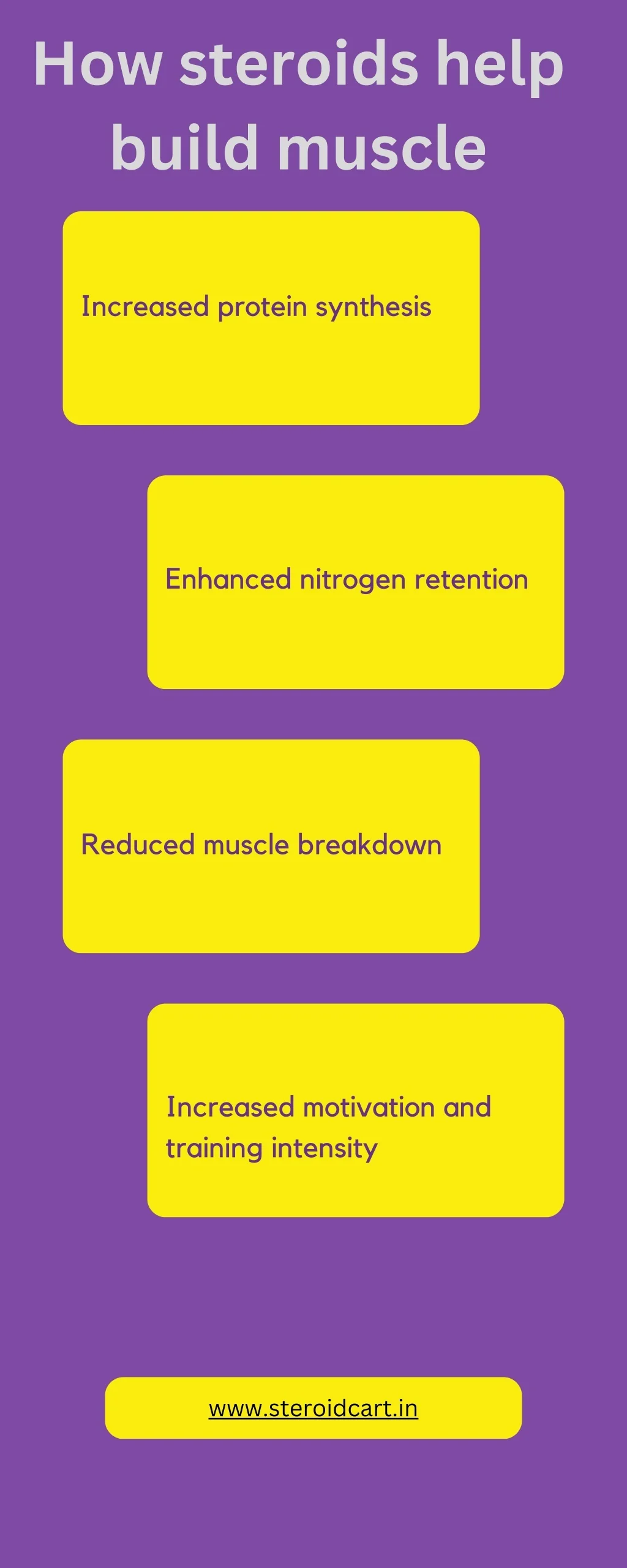 PPT - How steroids help build muscle PowerPoint Presentation, free ...