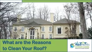 Why Should You Clean Your Roof?