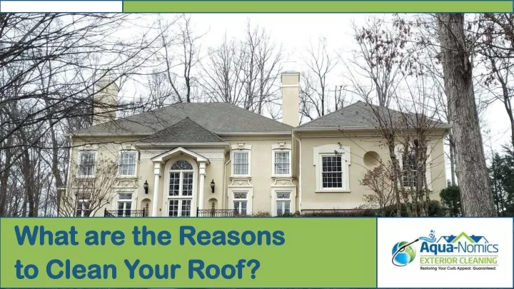 what are the reasons to clean your roof