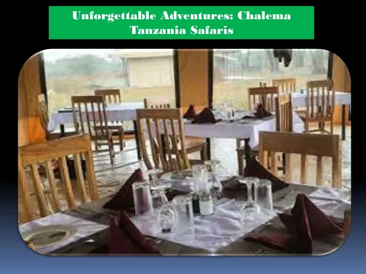 unforgettable adventures chalema tanzania safaris