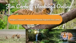 Safari Booking Jim Corbett