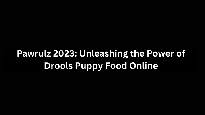 pawrulz 2023 unleashing the power of drools puppy