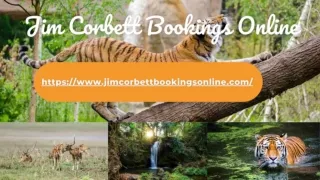 Canter Safari Booking