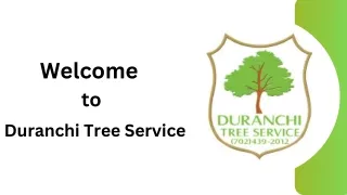 Tree Removal Las Vegas: How Duranchi Tree Service Can Help