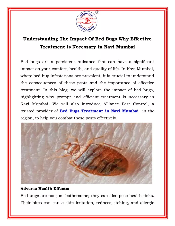 understanding the impact of bed bugs why effective