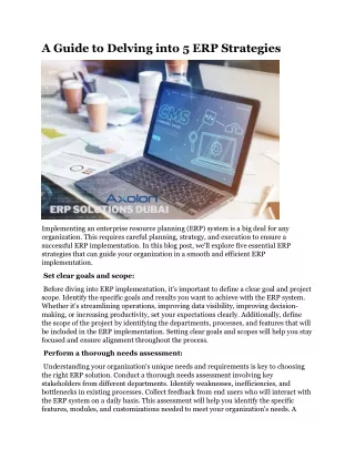 a guide to delving into 5 erp strategies