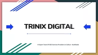 trinix digital