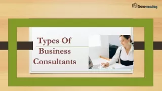 types of business consultants