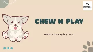 Dog Leash and Harness Set - Chew N Play