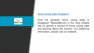 Horse Racing Odds Singapore Waybet88.com