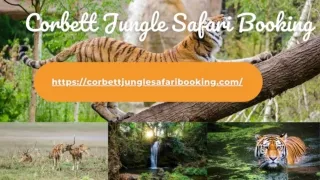 Corbett Wildlife Safari