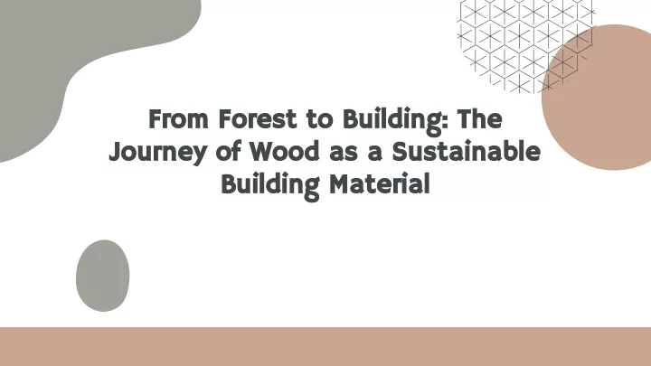 from forest to building the from forest