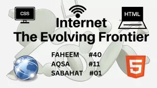Internet The Evolving Frontier