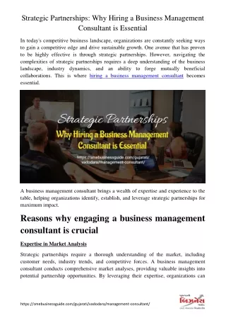 Best Business Management Consultant in Vadodara