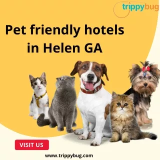 Pet friendly hotels in Helen GA