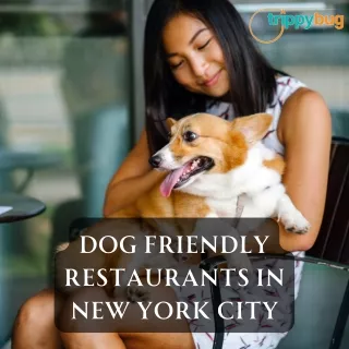 Dog Friendly Restaurants In New York City