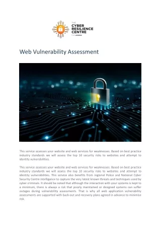 web vulnerability assessment