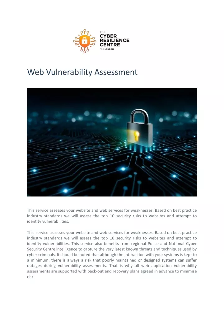 web vulnerability assessment