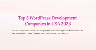 TOP 5 WordPress Development Companies in USA 2023