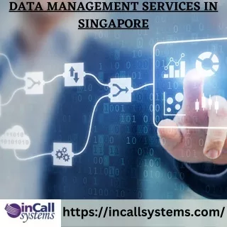 Enhance Efficiency and Security with Data Management Services in Singapore (1)