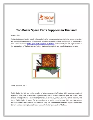 Boiler spare parts suppliers in Thailand | อะไหล่บอยเลอร์ | Boiler spare part